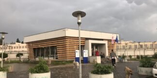 “ნაციონალური მოძრაობის” ლიდერები ნიკა მელიას რუსთავის ციხეში ხვდებიან