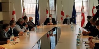 ამირან გამყრელიძე რუსთავში შეხვედრას მართავს