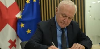 “იმედი გვაქვს დალაგდება ქვეყანა”- ინჯიამ მიშელის დოკუმენტს ხელი მოაწერა