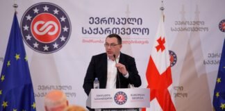 ბოკერია დმანისის მოვლენებზე: გამშველებლის როლში რატომ უწევდა პოლიციას ყოფნა?