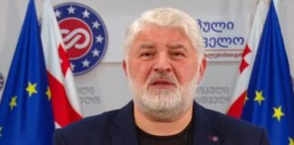 დამენია ამნისტიაზე: სანამ ხელს მოაწერდნენ უნდა გარკვეულიყო, სამწუხაროდ, უკვე დაგვიანებულია