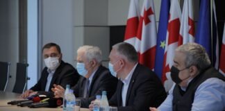 გამყრელიძე: რუსთავში იმუნიზაციის მასობრივი ცენტრი ივლისში უნდა ამუშავდეს
