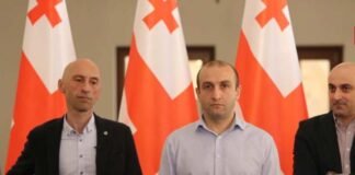 „გირჩი” „ამნისტიის შესახებ” კანონპროექტს პირველი მოსმენით მხარს დაუჭერს