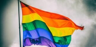 ჰომოფობიური ნიშნით, ლესბოსელ წყვილზე თავდამსხმელი დააკავეს