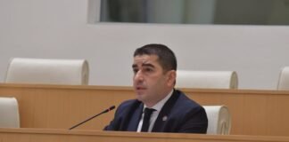 პაპუაშვილი: ამნისტიის კანონი დაჩქარებული წესით ვერ მიიღება