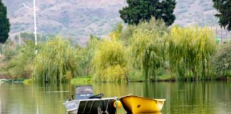 მომდევნო დღეების ამინდის პროგნოზი