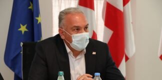 შოთა რეხვიაშვილი თეა ახვლედიანის მოადგილედ დაინიშნა