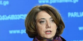 სამადაშვილი: არ ვფიქრობ, რომ მოლაპარაკებებს აქციები ხელს უშლის