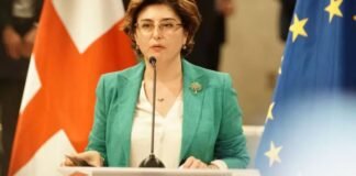 სამნიძე: მზად ვართ, “რესპუბლიკური პარტიის“ მხრიდან დოკუმენტს ხელი მოეწეროს