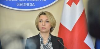 ომბუდსმენი: მიეცით ნამახვანის აქციის მონაწილეებს მათთვის სასურველ ადგილზე შეკრების უფლება