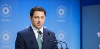 თალაკვაძე დმანისის მოვლენებზე: ნებისმიერი ძალადობა დასაგმობია