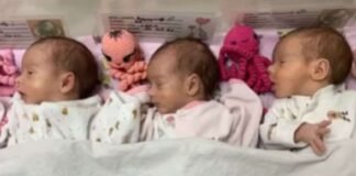 ღუდუშაურის კლინიკაში სამი ტყუპი დაიბადა