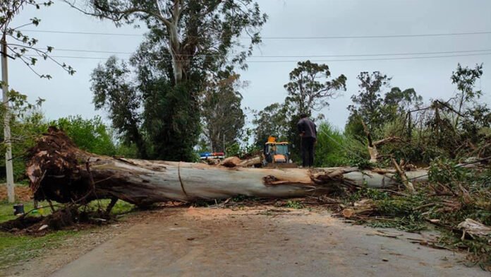 ქარი-ქობულეთში
