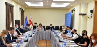 პარლამენტში რუსთავის ჰაერის ხარისხის გაუმჯობესების გეგმაზე იმსჯელეს