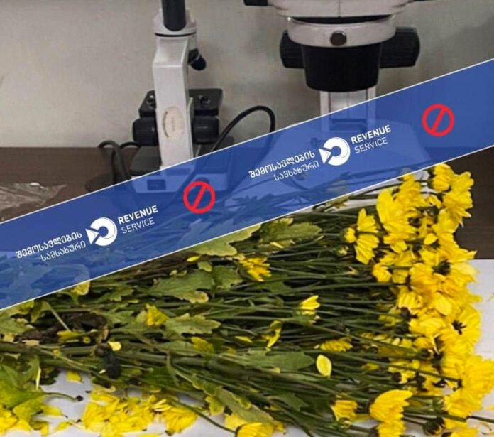 1620729913-184601712_4604813586213430_1575828136565626769_n