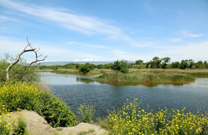 183353893_4069481276442145_2915019703379731501_n