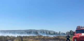 დავით გარეჯის ქუჩის მიმდებარედ ხანძარია