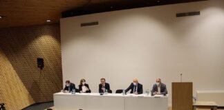 ბოლნისში რეგიონული პოლიტიკისა და თვითმმართველობის კომიტეტის გასვლითი სხდომა გაიმართა