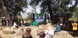 “რუსთაველების” ხელშეწყობით, ჭალის ტყის ტერიტორიაზე 100-ზე მეტი ხის ნერგი დარგეს