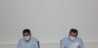 სოფელ კრწანისსა და მთის ძირში ქუჩებსა და ჩიხებს სახელდება მიენიჭა