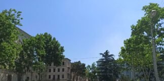 “გაიაფდეს საწვავი 40 თეთრით” – “ევროპული საქართველო” პეტიციას ქმნის