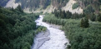 ნამოხვანში გაუჩინარებული რუსთაველი ახალგაზრდის ცხედარი ნაპოვნია