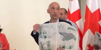 კიდევ ერთი ვაკანსია „სამეფოში“ – ნახეთ, „გირჩის“ განცხადება