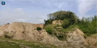 სახელმწიფო ქონების მოტყუებით დაუფლების ფაქტზე 5 პირი პასუხისგებაში მისცეს