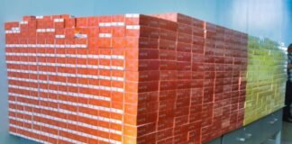 სადახლოზე დიდი ოდენობით არადეკლარირებული სიგარეტის შემოტანის მცდელობა აღიკვეთა