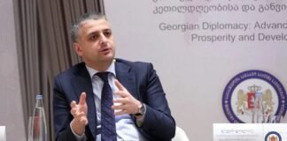 ლევან დოლიძე გიორგი გახარიას გუნდის წევრი იქნება