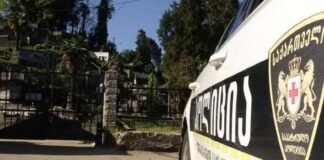 მოძრაობა „საქართველოსთვის“ წევრი ნიკა ნარსია გაათავისუფლეს