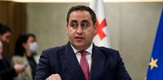 ვაშაძე: ქვეყანაში შიმშილია და მთელი ხელისუფლება შვებულებაშია