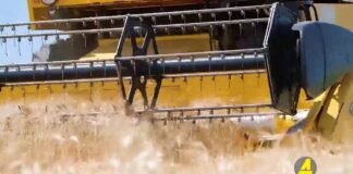 Xronika ქრონიკა აზერბაიჯანულ ენაზე 10.05.2021