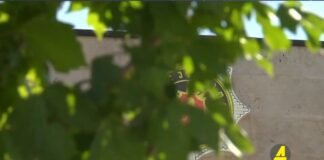 Xronika ქრონიკა აზერბაიჯანულ ენაზე 12.04.2021