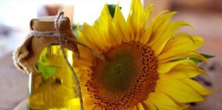 სექტემბერში ყველაზე მეტად ზეთი და ბოსტნეული გაძვირდა