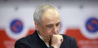 ზილფიმიანია: სისულელეა, ვეტოს რას ვადებთ?