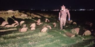 ქვემო ქართლში მიწის ნაყოფიერი ფენის მოხსნის ფაქტები გამოავლინეს