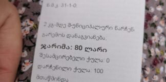 ფურცლების გადმოყრისთვის აქტივისტები დააჯარიმეს