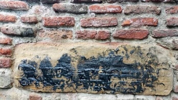 201855706_5611794755559725_5875147082288010572_n_0