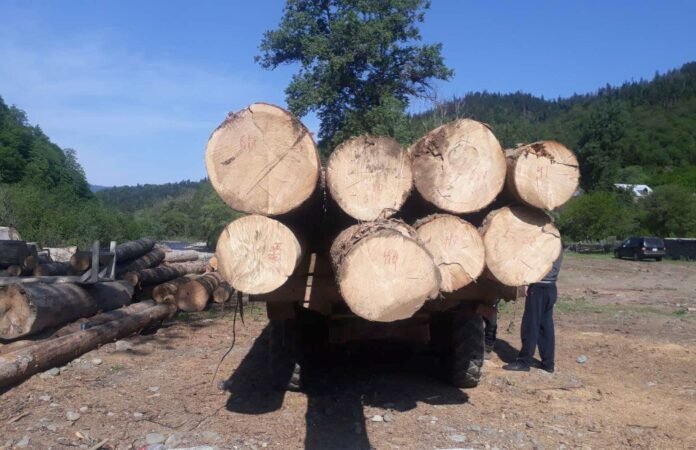 206094083_5082250965122614_2933032925399430213_n