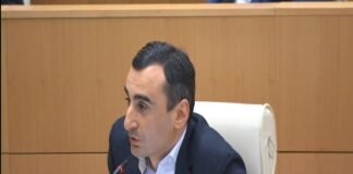 დალაქიშვილი: პანდემიის დროს, იმ სფეროების პერსპექტივები დავინახეთ, რომლის განვითარებაც შეიძლება