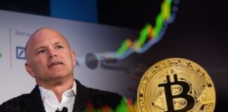 ნოვოგრაცი: ბიტკოინი ციფრული ოქროა