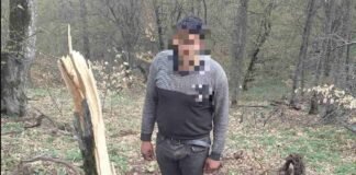 ხე-ტყის უკანონო ჭრის ფაქტები ქვემო ქართლში