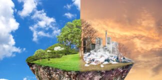 კლიმატის ცვლილება საქართველოზე სულ უფრო მეტ გავლენას ახდენს