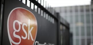 Glaxo და iTeos კიბოს სამკურნალოდ მონოკლონურ ანტისხეულებს შექმნიან