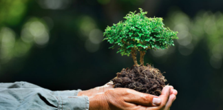 დღეს მსოფლიოში გარემოს დაცვის დღე აღინიშნება