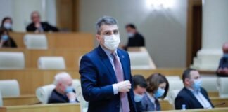 მდინარაძე გავრილოვზე: სხვა სკამზე იჯდა, ბატონო, ის კაცი, პროტოკოლის თანამშრომელმა მიუტანა