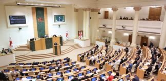 საქართველოს საპარლამენტო დელეგაცია კიევში იმყოფება