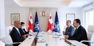 ირაკლი ღარიბაშვილისა და ჯეიმს აპატურაის შეხვედრა გაიმართა