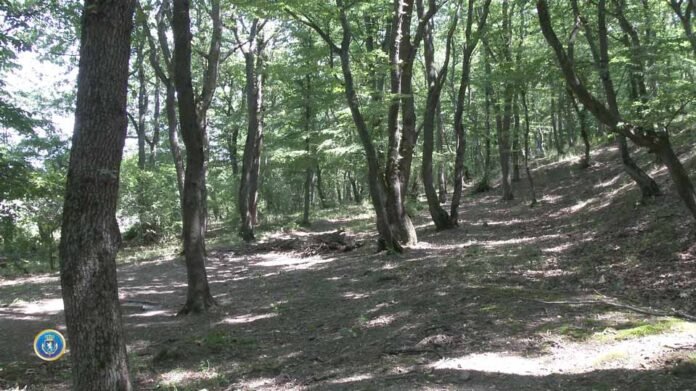 1625123403-ფოტო-01.07.2021